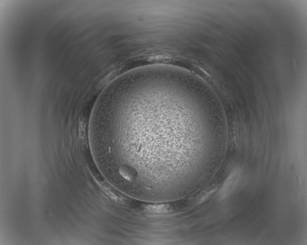 X0000078890281200611201444