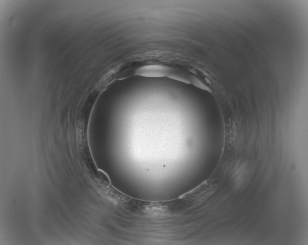 X0000078890283200611201444