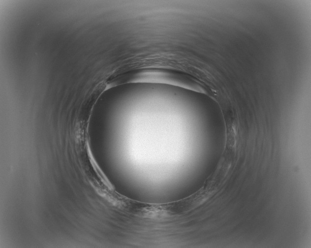 X0000078890284200611201444