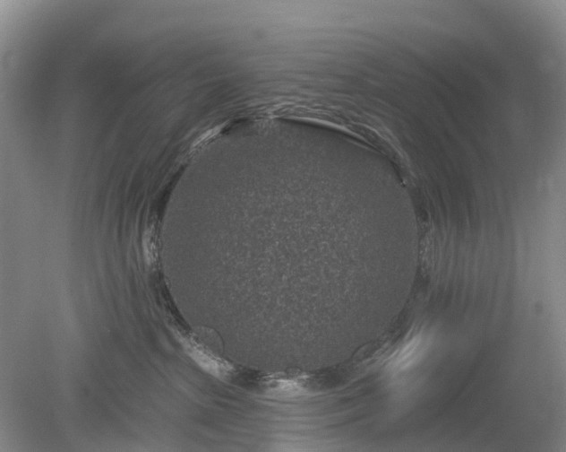 X0000078890285200611201444