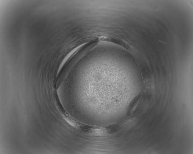 X0000078890286200611201444