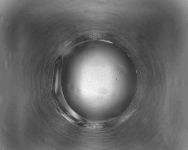 X0000078890288200611201444