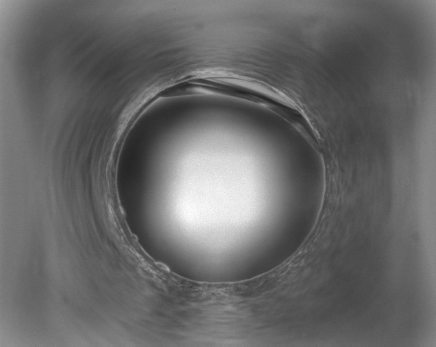 X0000078890289200611201444