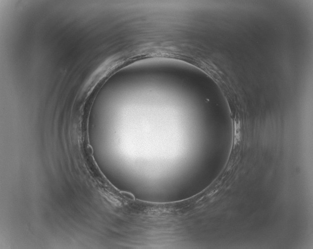 X0000078890291200611201444