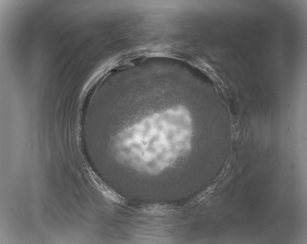 X0000078890293200611201444