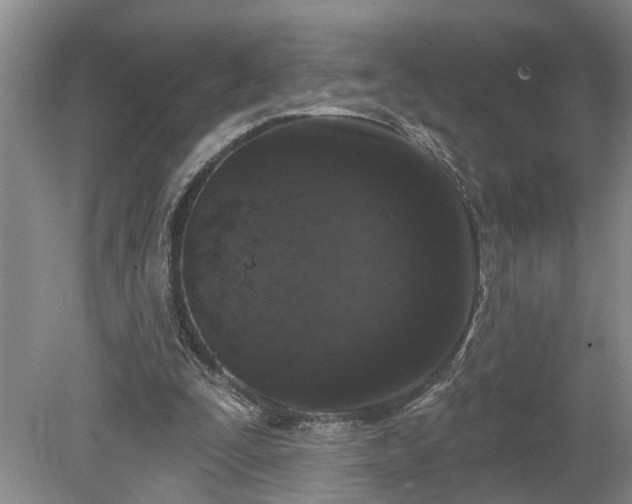 X0000078890295200611201444