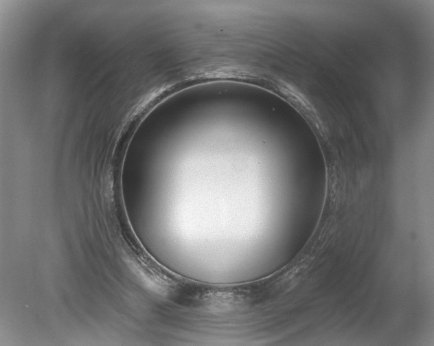 X0000078890298200611201444