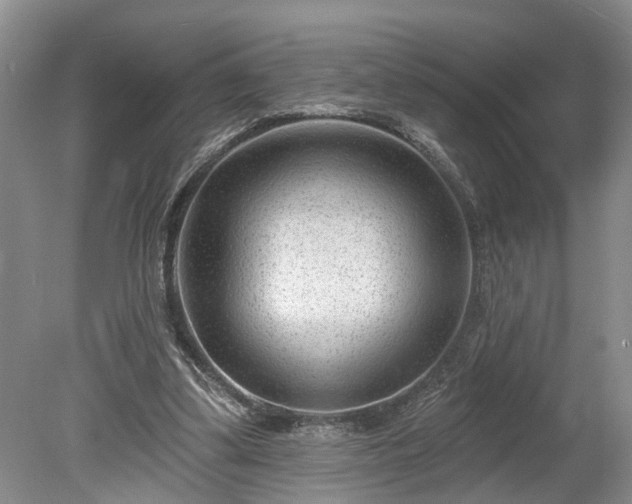 X0000078890299200611201444