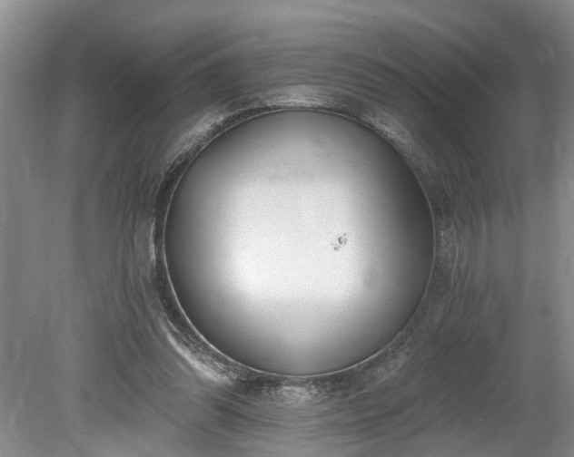 X0000078890302200611201443