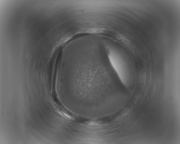 X0000078890303200611201443