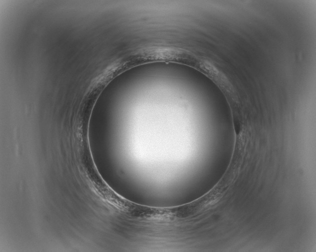 X0000078890306200611201443