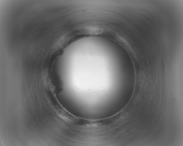 X0000078890307200611201443