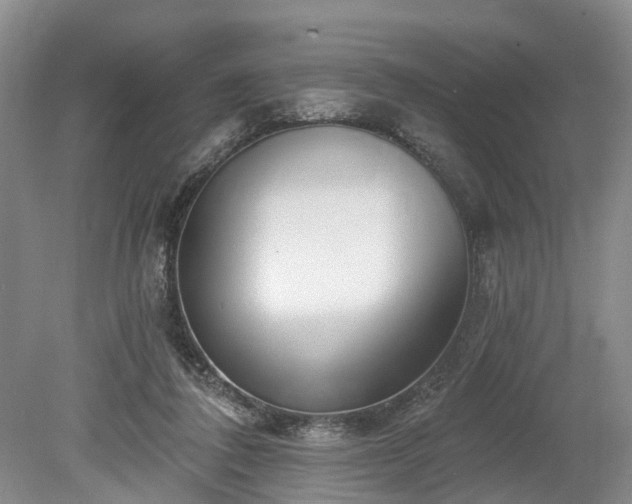 X0000078890308200611201443