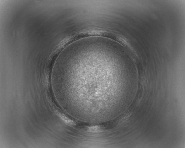 X0000078890309200611201443