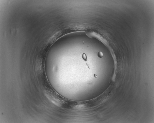 X0000078890312200611201443