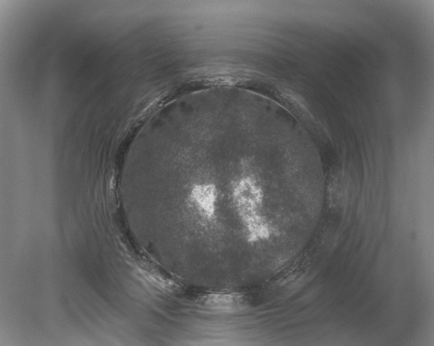 X0000078890314200611201443