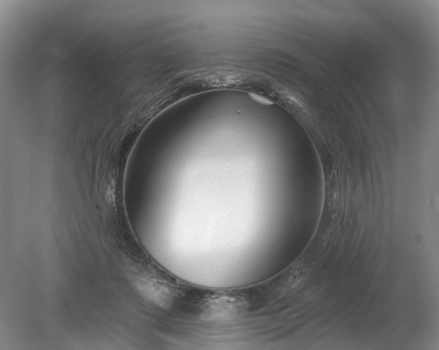 X0000078890315200611201443