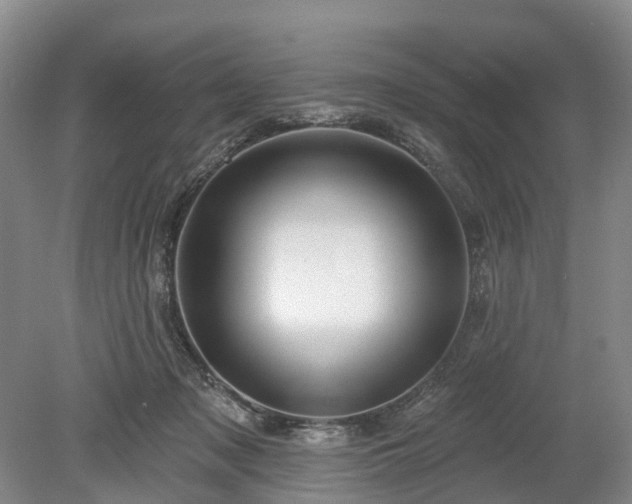 X0000078890317200611201443