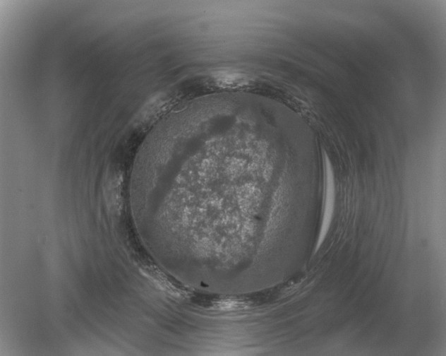 X0000078890319200611201443