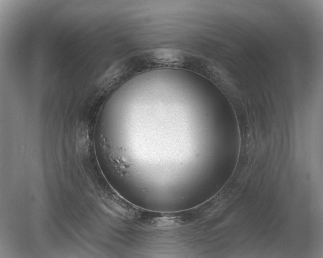 X0000078890320200611201443