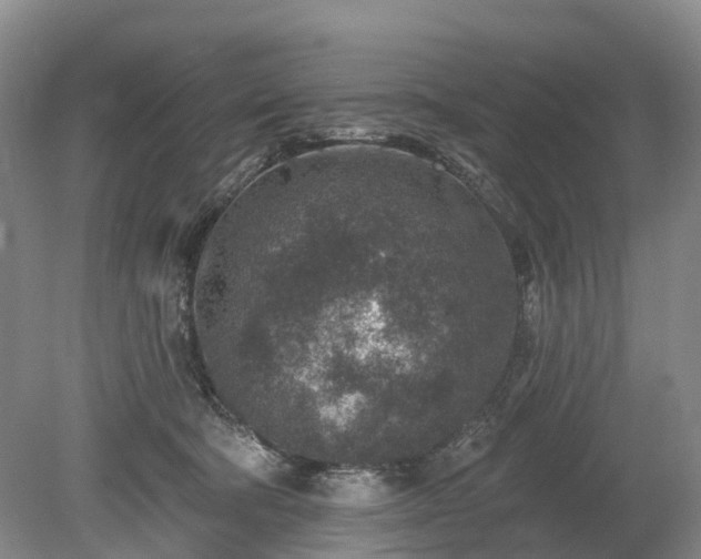 X0000078890322200611201443