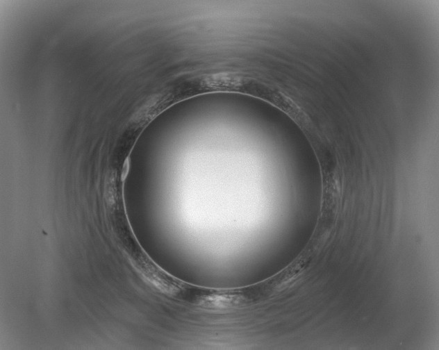 X0000078890323200611201443