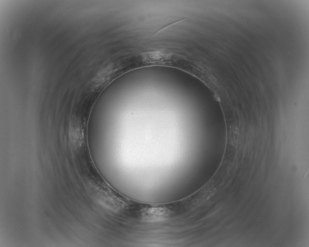 X0000078890324200611201443