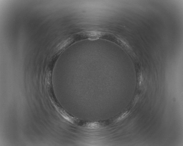 X0000078890325200611201443