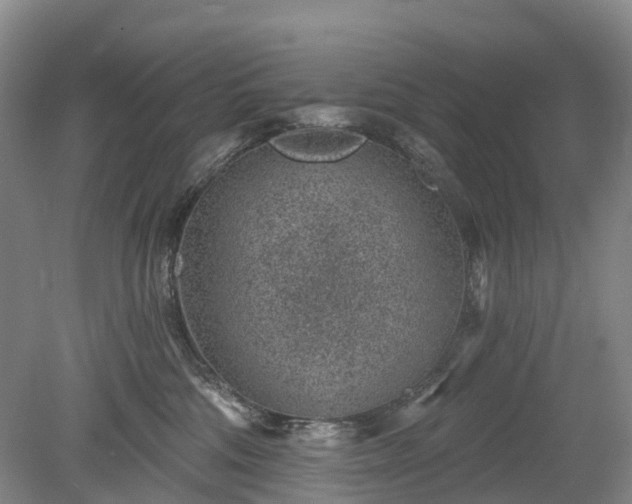 X0000078890330200611201443