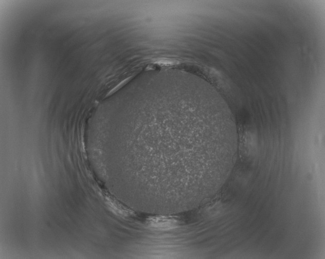 X0000078890331200611201443