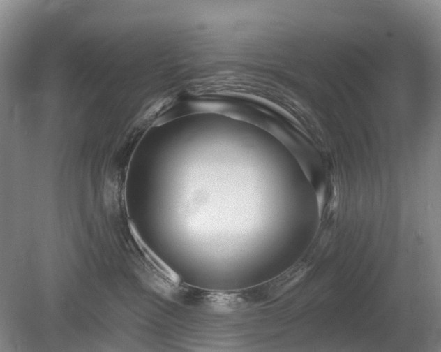 X0000078890333200611201443