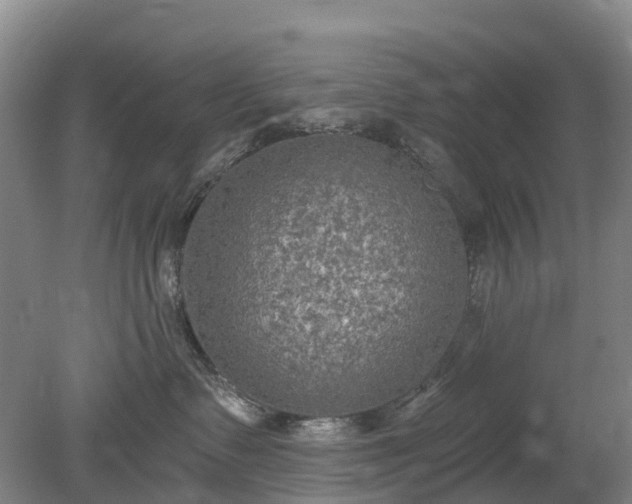 X0000078890335200611201443