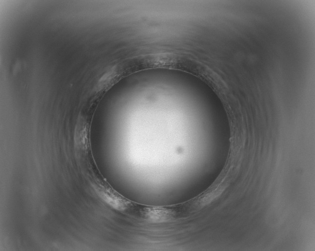 X0000078890336200611201443