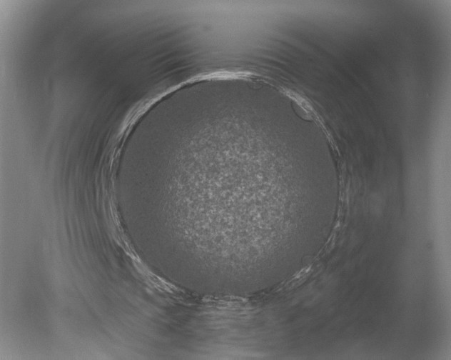 X0000078890337200611201442