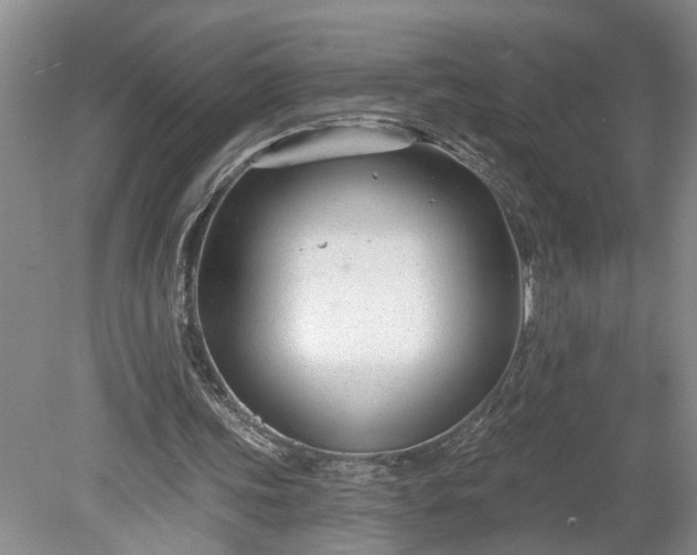 X0000078890339200611201442