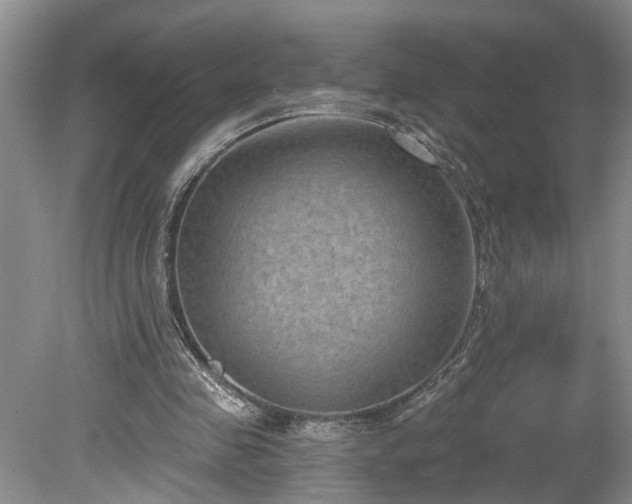 X0000078890341200611201442