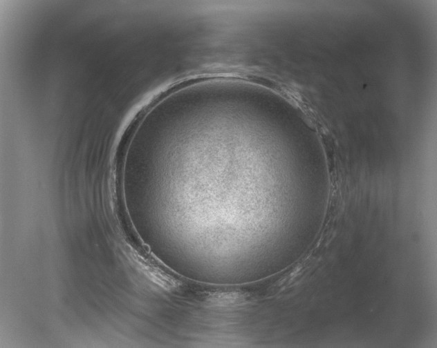 X0000078890342200611201442