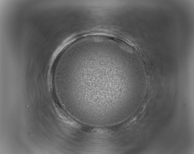 X0000078890343200611201442