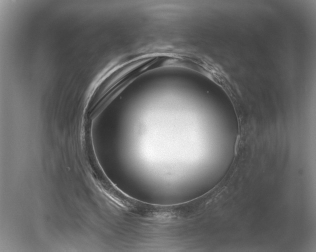 X0000078890344200611201442