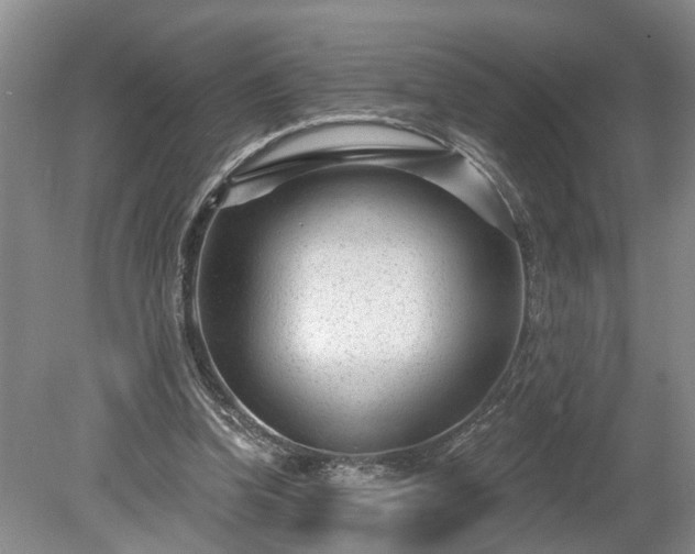 X0000078890346200611201442