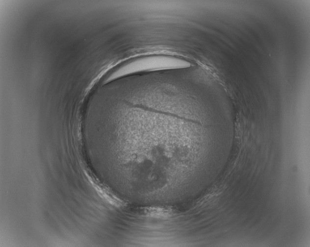 X0000078890347200611201442