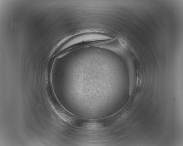 X0000078890348200611201442