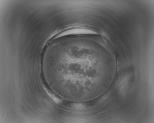 X0000078890349200611201442