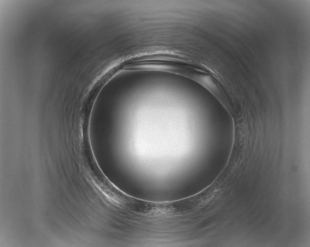 X0000078890350200611201442