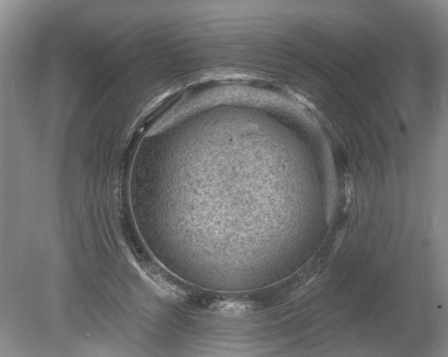 X0000078890352200611201442