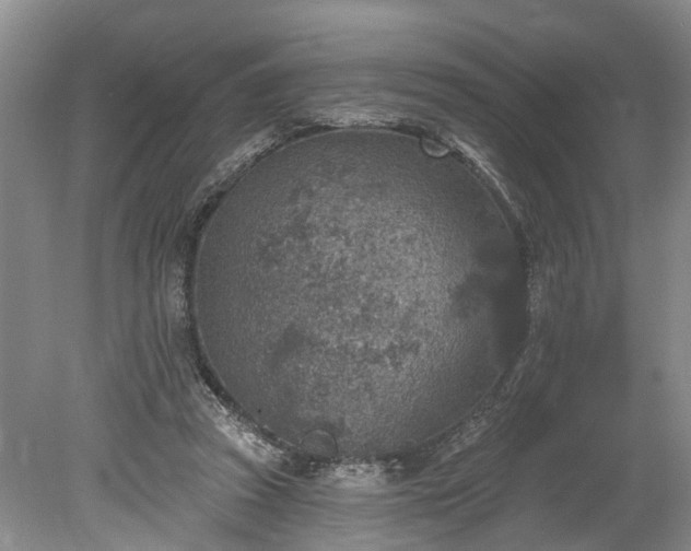 X0000078890353200611201442