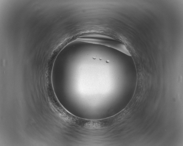 X0000078890354200611201442