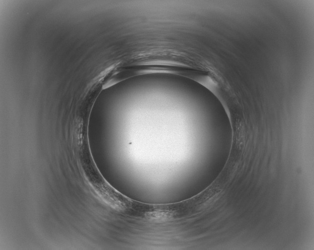 X0000078890356200611201442