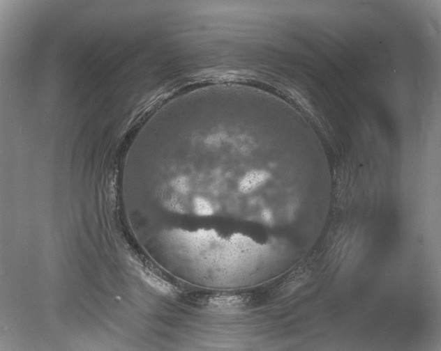 X0000078890357200611201442