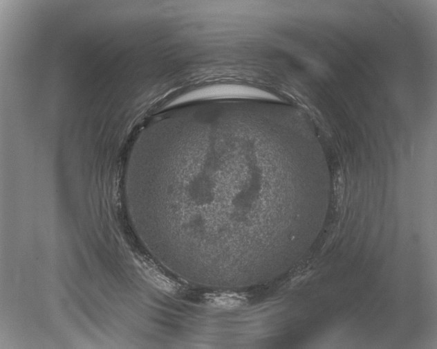 X0000078890359200611201442